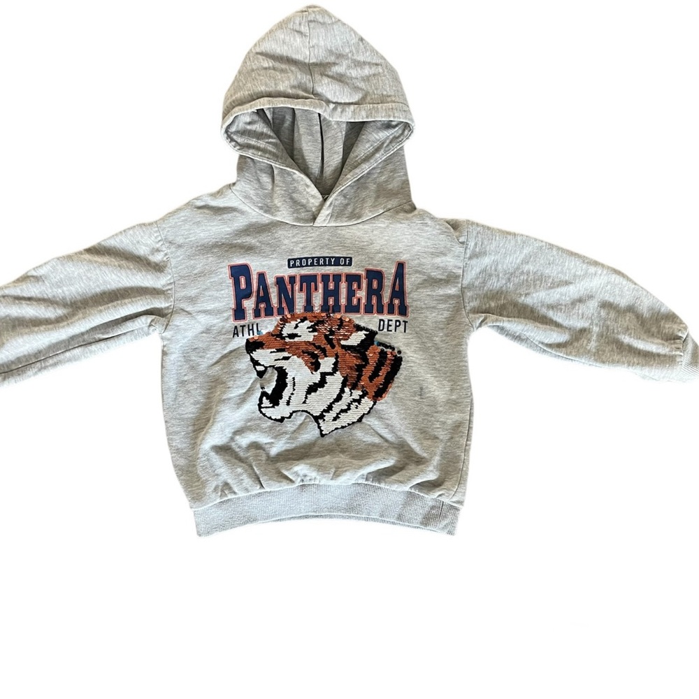 H&M pull over 4T sequin tiger
